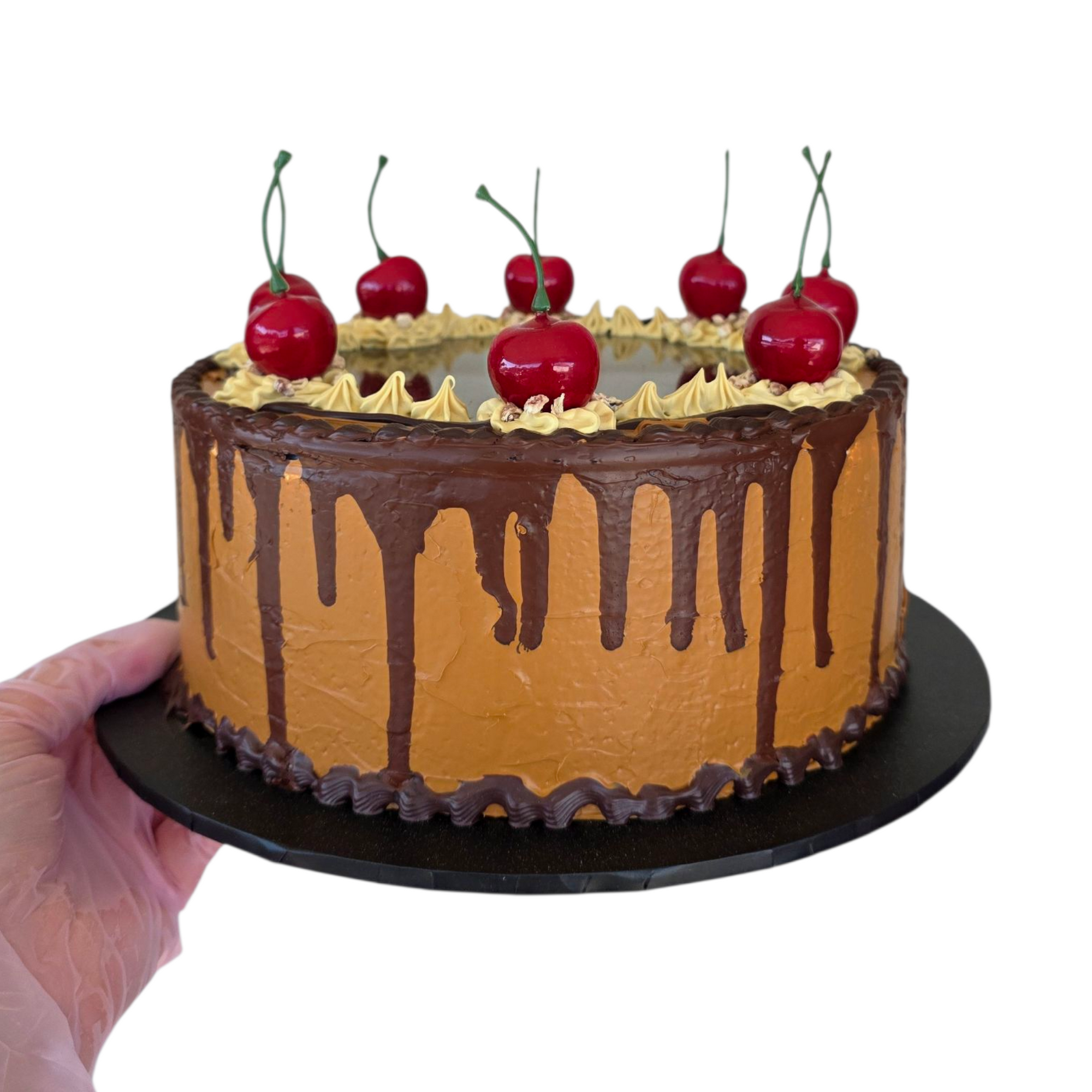 Cake Mirror (Choc Caramel)